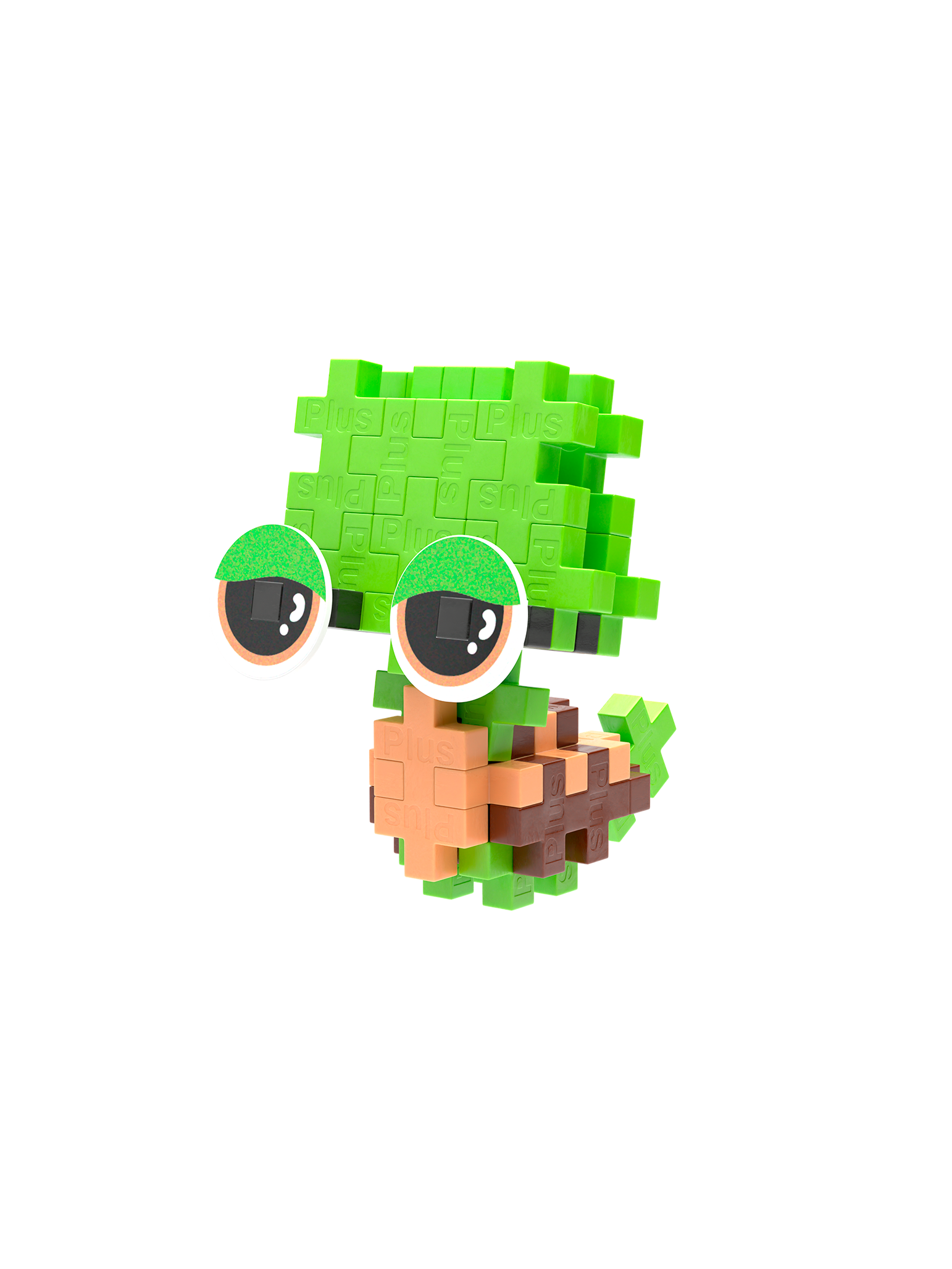 Husdjurspaket – Sköldpadda